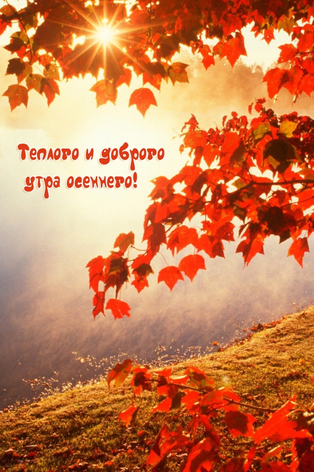 Хостинг картинок yapx.ru