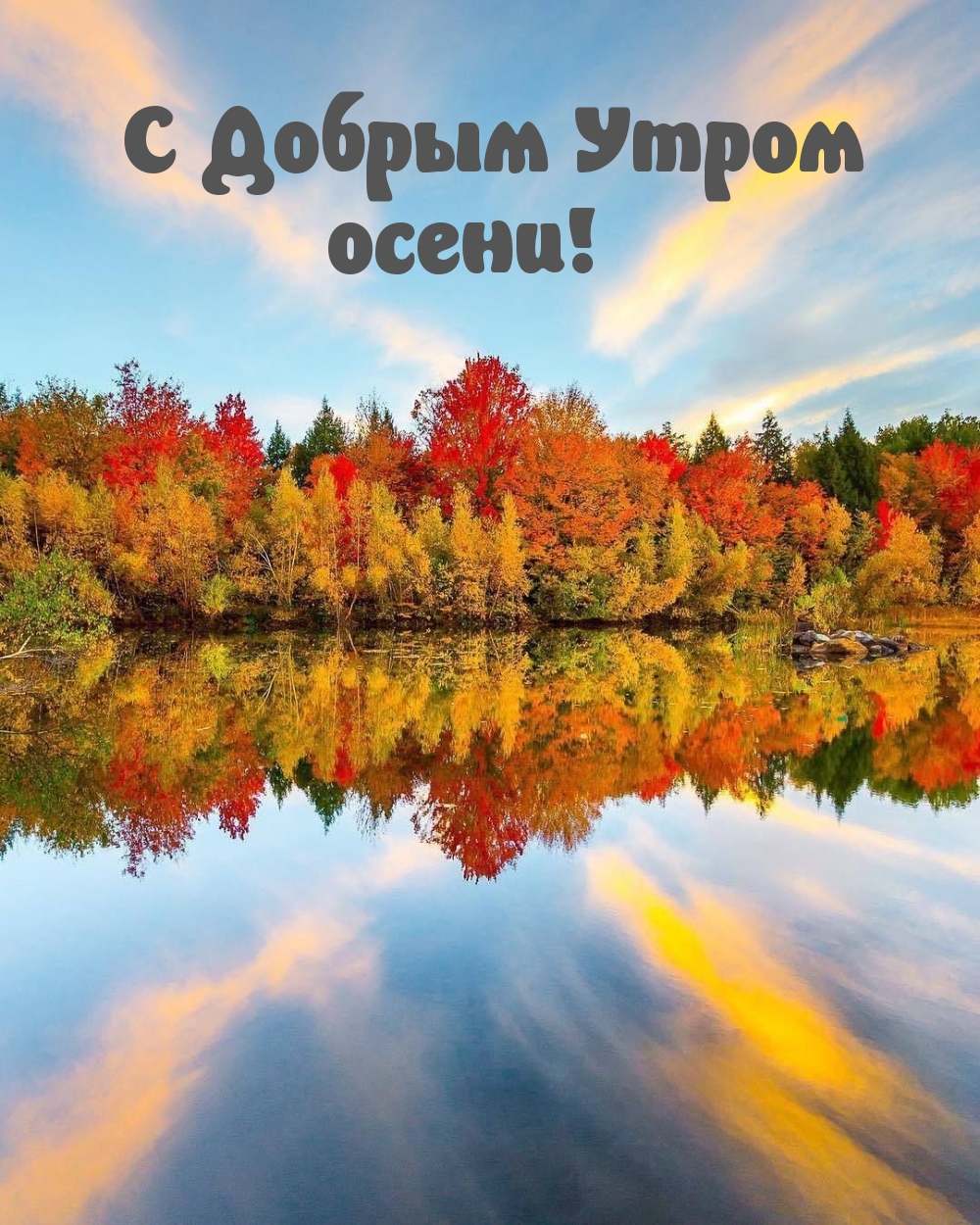 Хостинг картинок yapx.ru