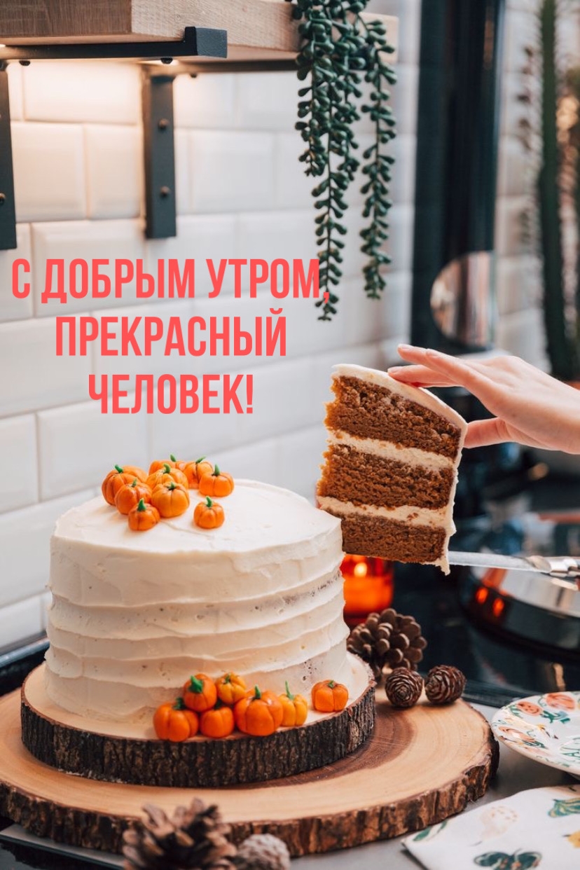 Хостинг картинок yapx.ru