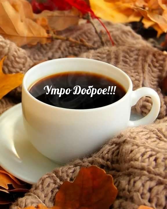 Хостинг картинок yapx.ru