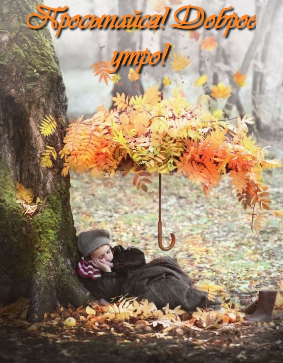 Хостинг картинок yapx.ru