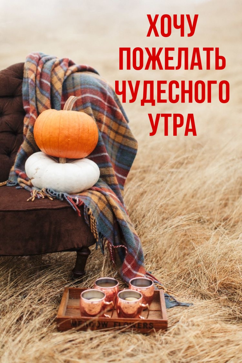 Хостинг картинок yapx.ru