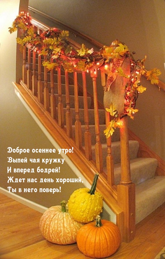 Хостинг картинок yapx.ru