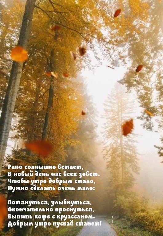 Хостинг картинок yapx.ru