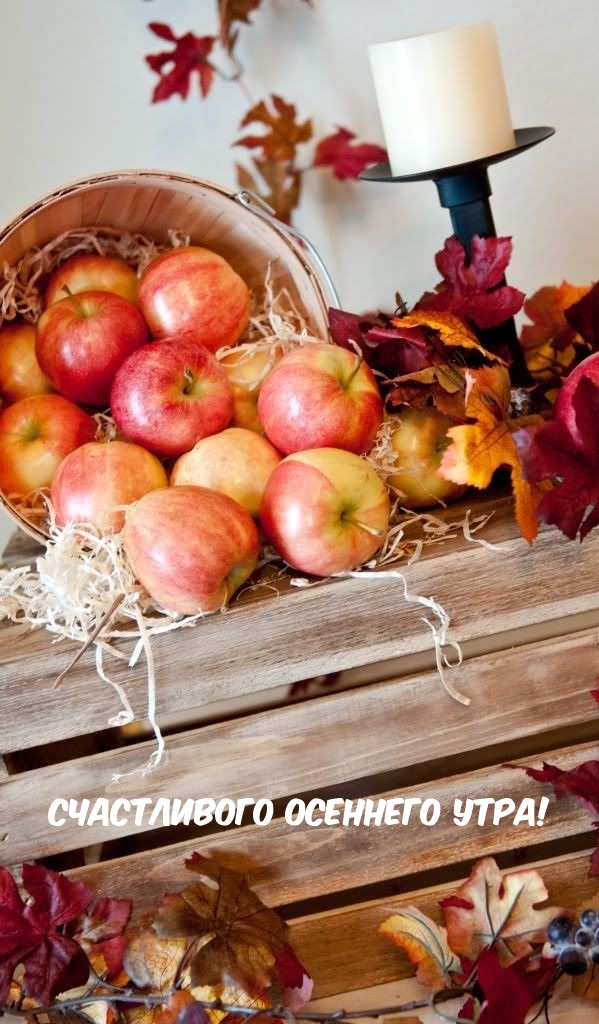 Хостинг картинок yapx.ru