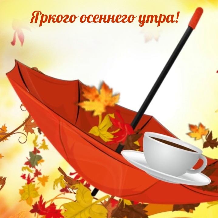 Хостинг картинок yapx.ru