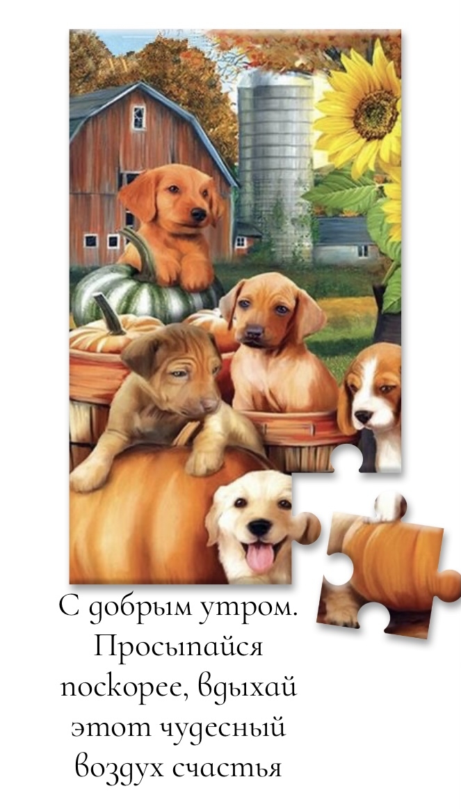 Хостинг картинок yapx.ru