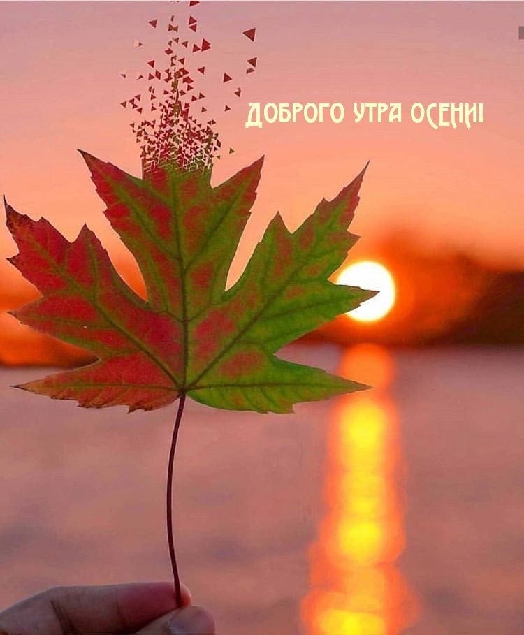 Хостинг картинок yapx.ru