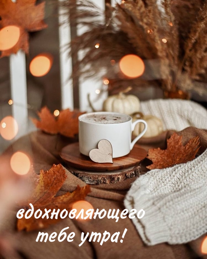 Хостинг картинок yapx.ru