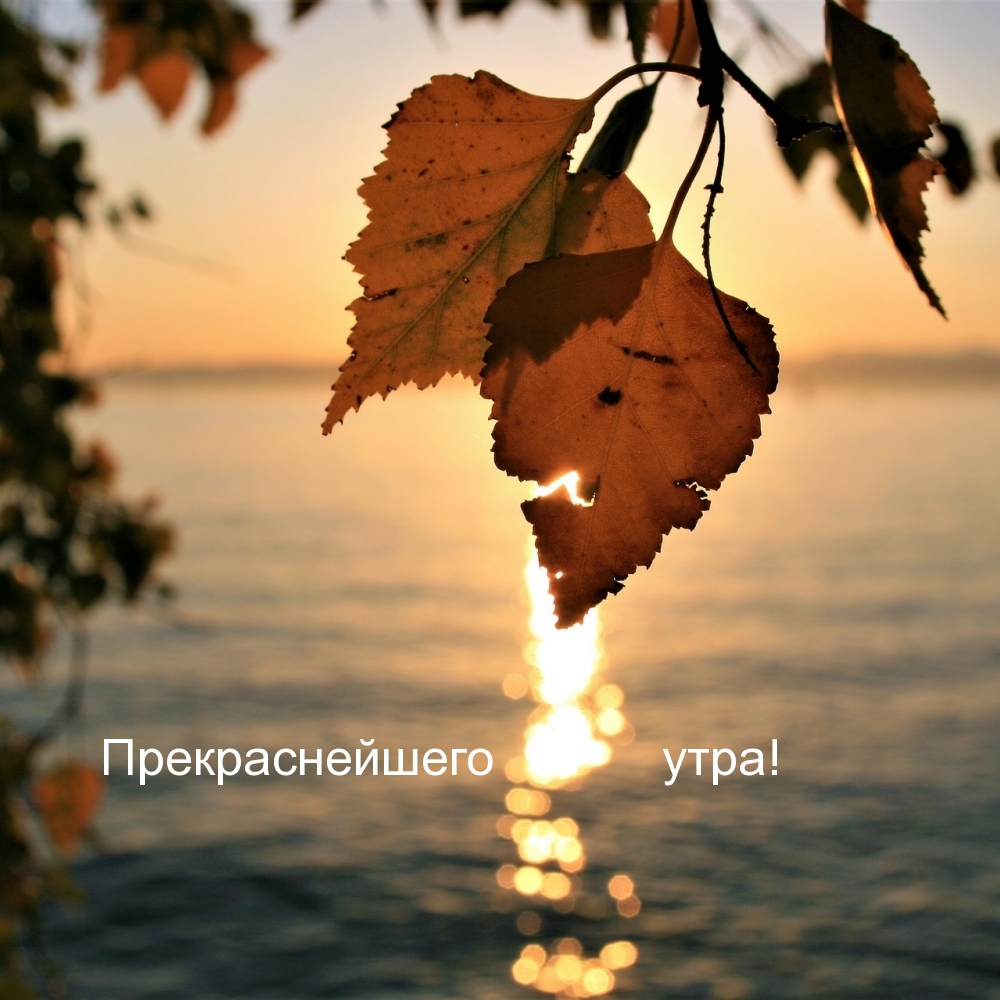 Хостинг картинок yapx.ru