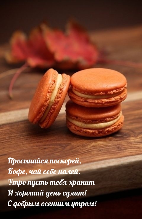 Хостинг картинок yapx.ru