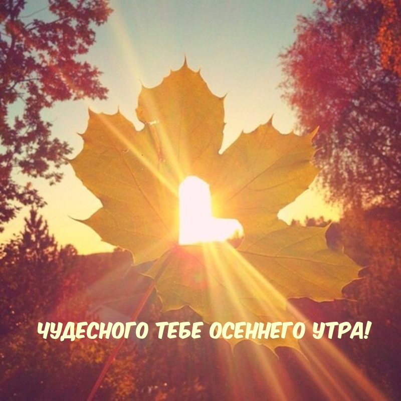 Хостинг картинок yapx.ru