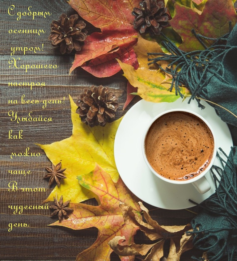 Хостинг картинок yapx.ru