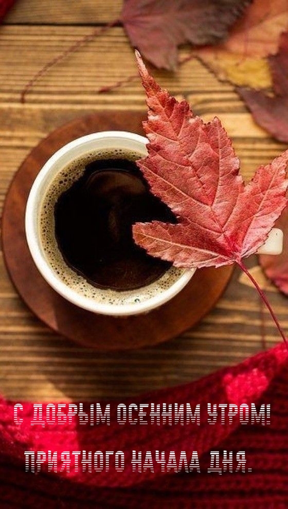 Хостинг картинок yapx.ru