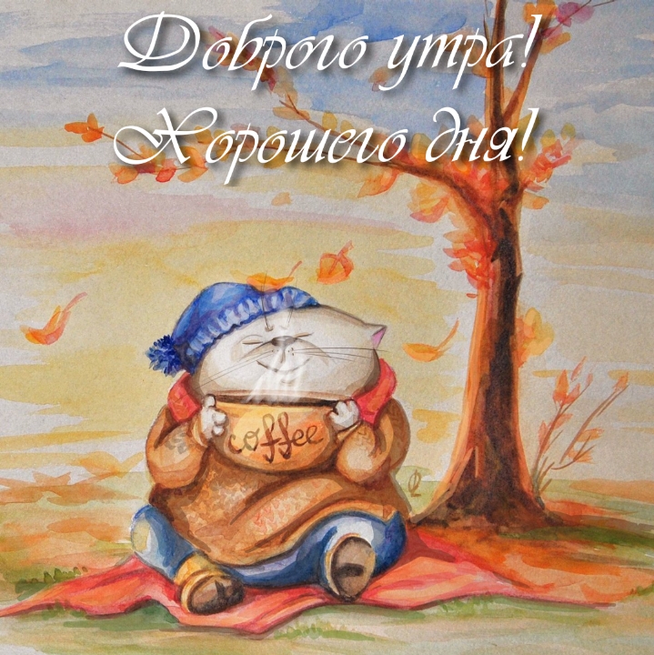 Хостинг картинок yapx.ru