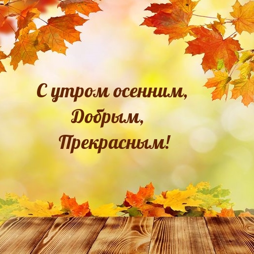 Хостинг картинок yapx.ru