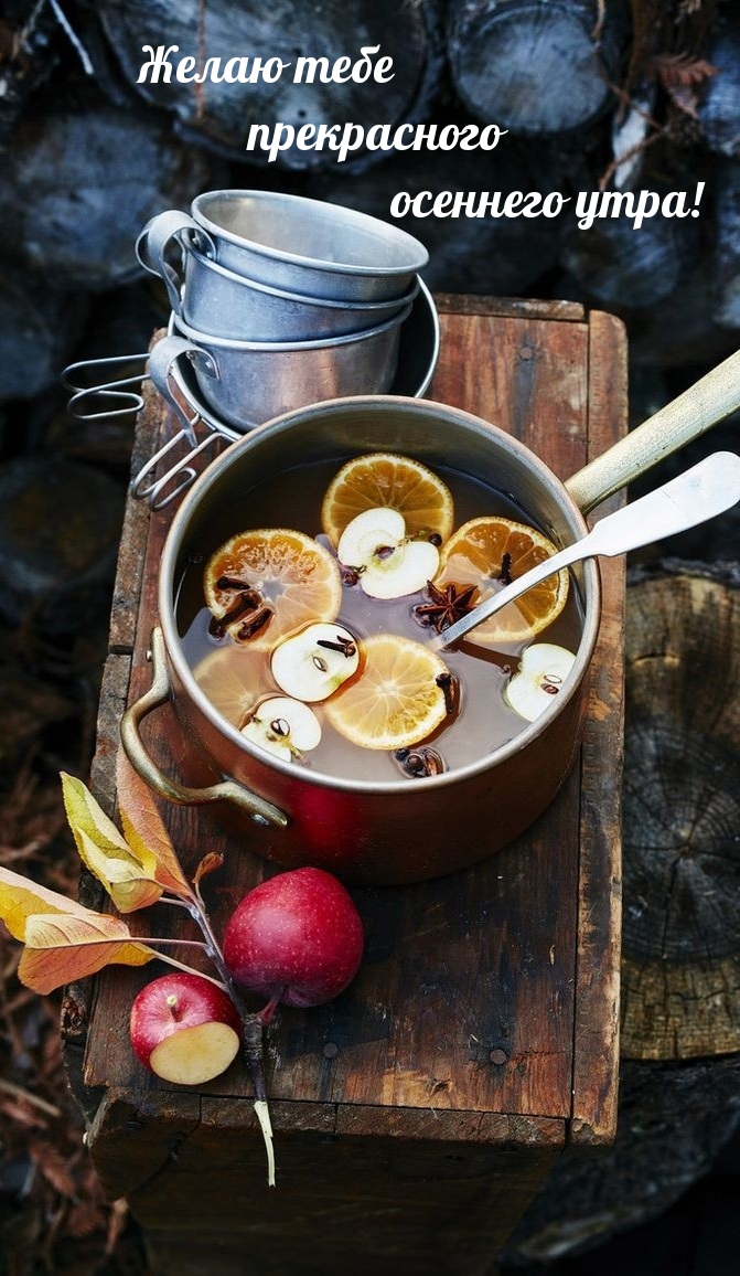 Хостинг картинок yapx.ru