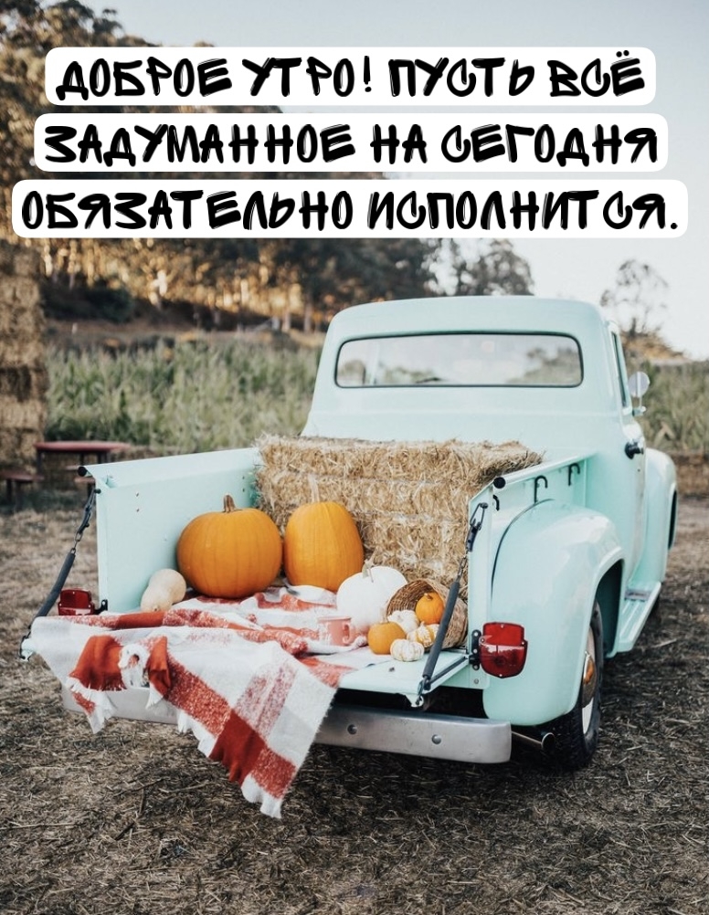 Хостинг картинок yapx.ru