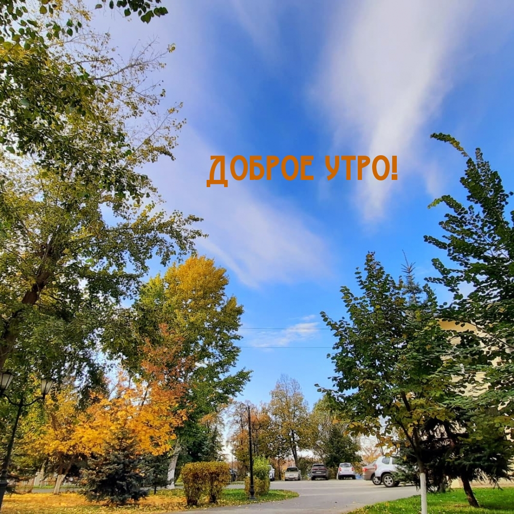 Хостинг картинок yapx.ru