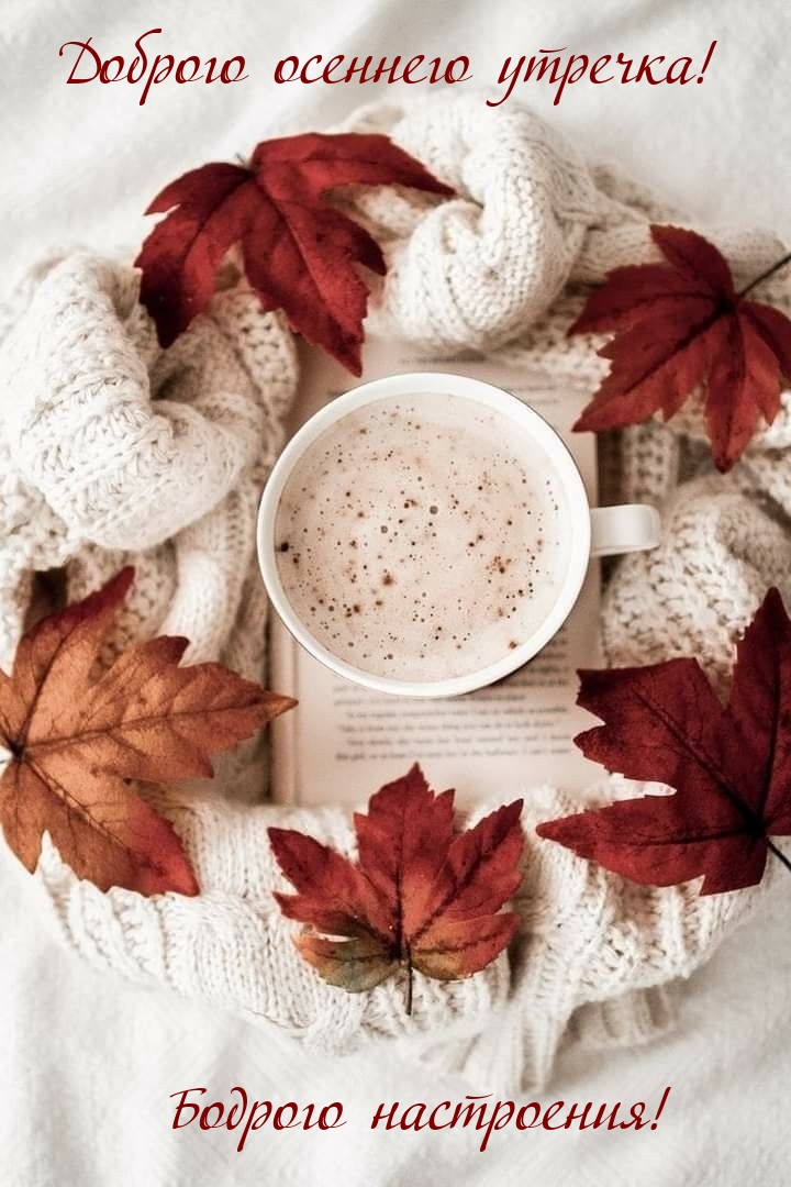 Хостинг картинок yapx.ru