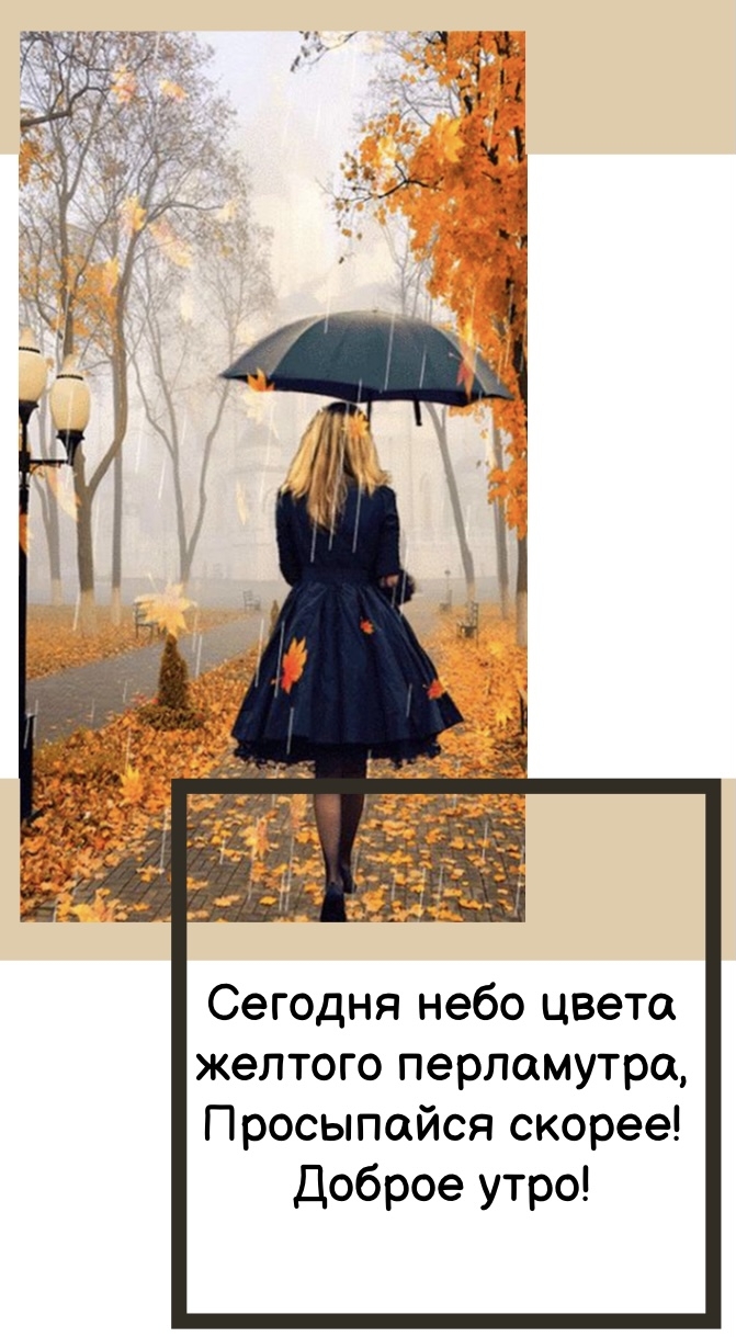 Хостинг картинок yapx.ru