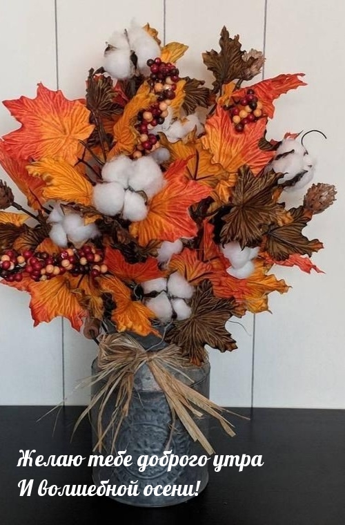 Хостинг картинок yapx.ru