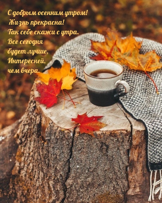 Хостинг картинок yapx.ru