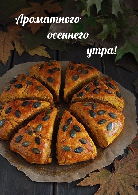 Хостинг картинок yapx.ru