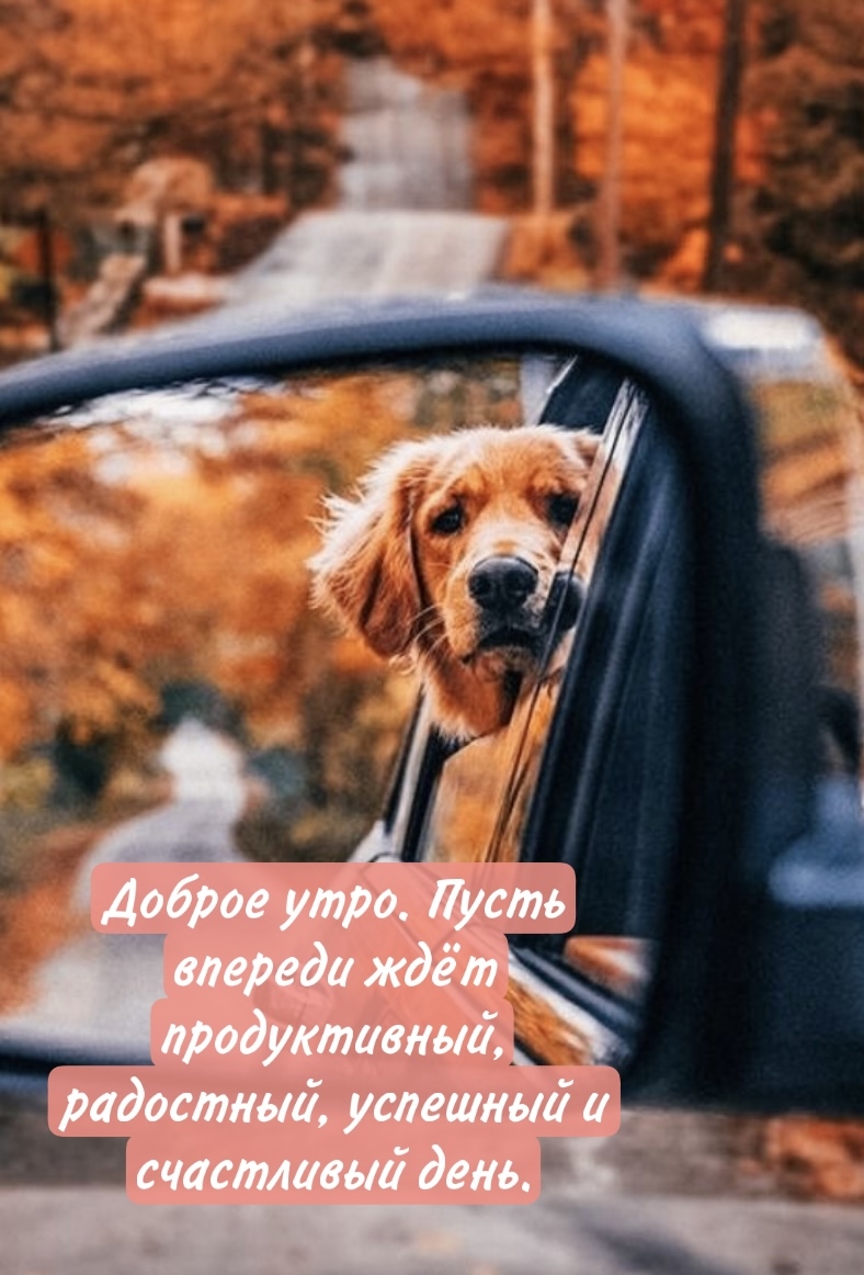 Хостинг картинок yapx.ru