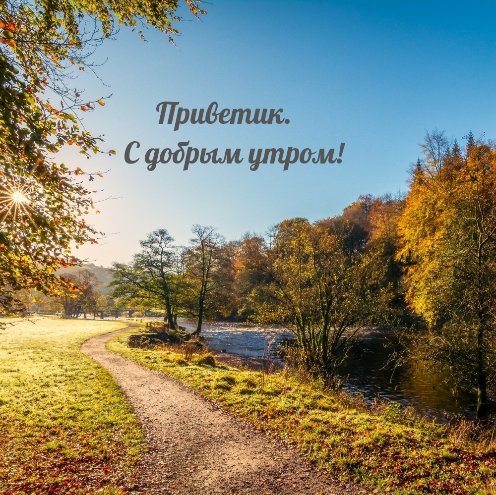 Хостинг картинок yapx.ru