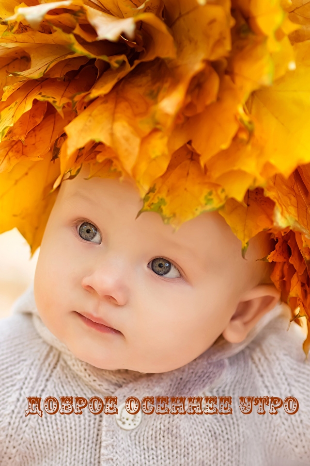 Хостинг картинок yapx.ru