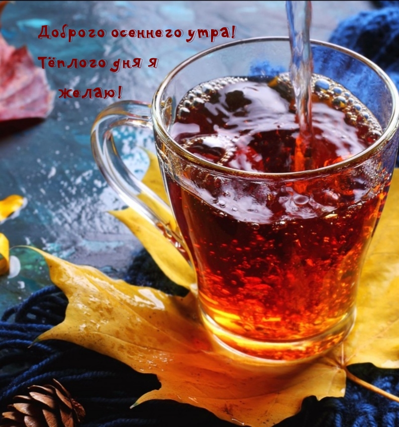 Хостинг картинок yapx.ru