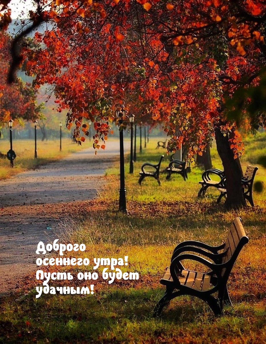 Хостинг картинок yapx.ru