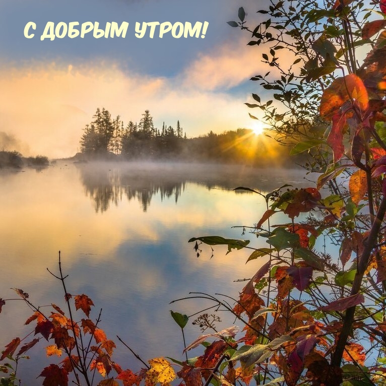 Хостинг картинок yapx.ru