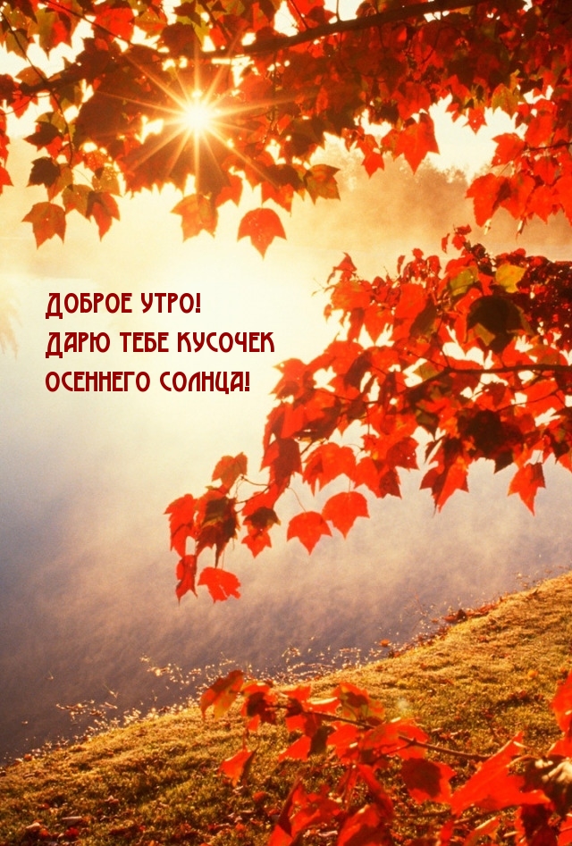 Хостинг картинок yapx.ru