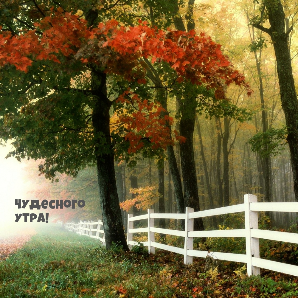 Хостинг картинок yapx.ru