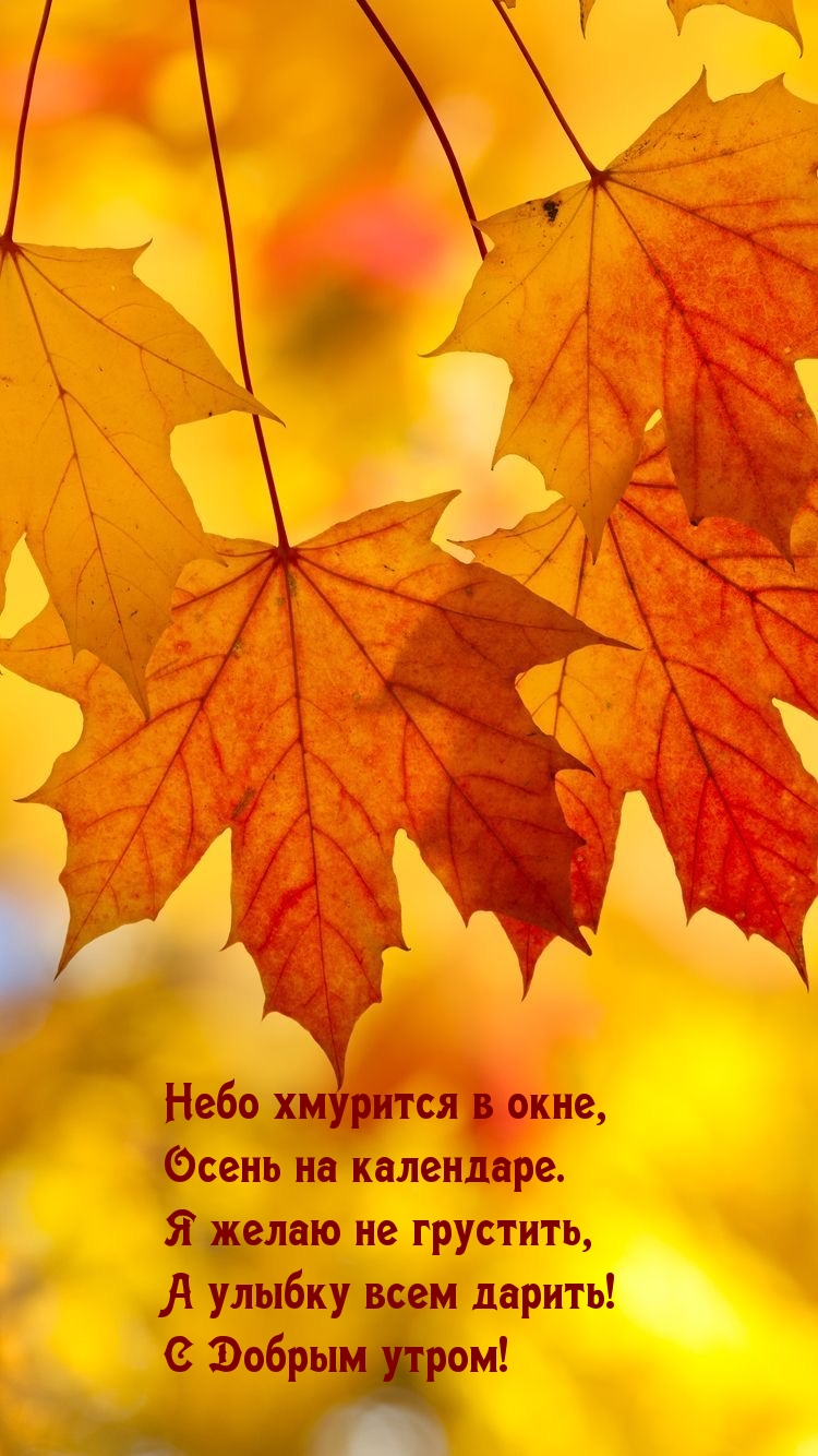 Хостинг картинок yapx.ru