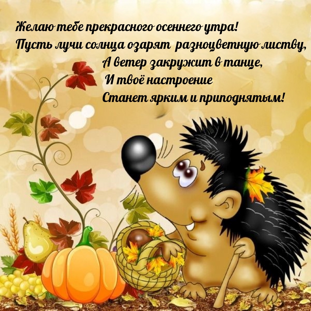 Хостинг картинок yapx.ru