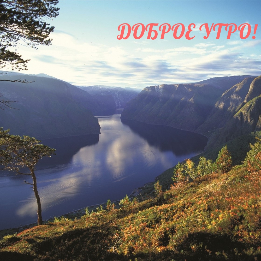 Хостинг картинок yapx.ru