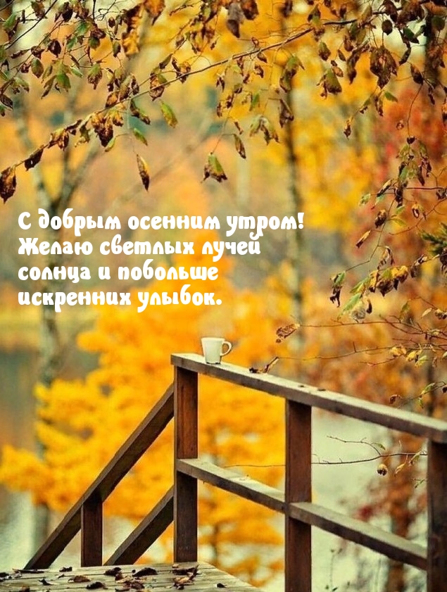 Хостинг картинок yapx.ru