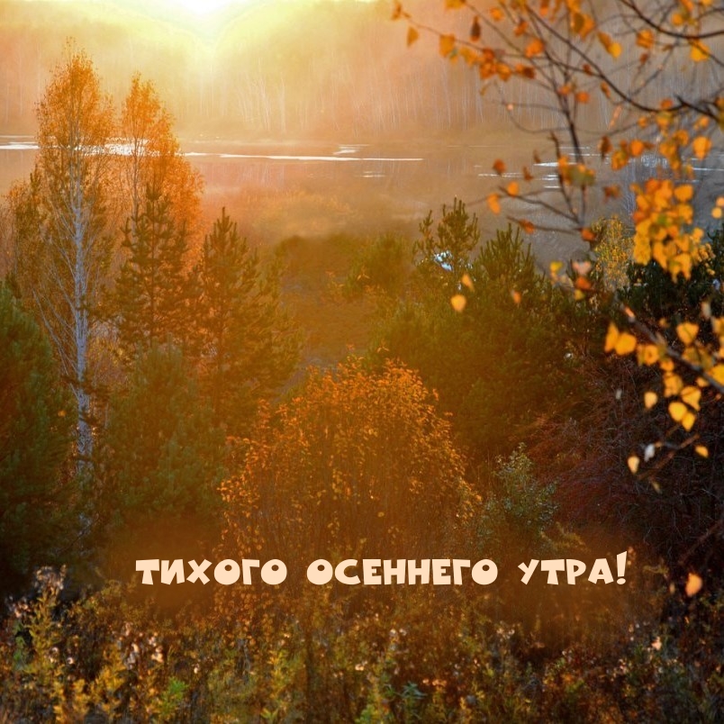 Хостинг картинок yapx.ru