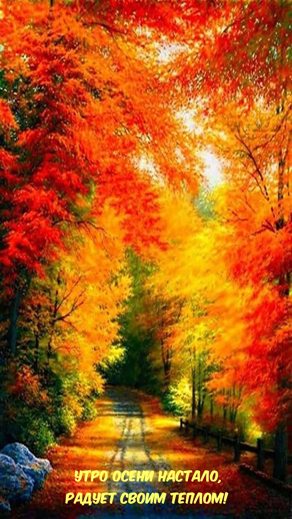 Хостинг картинок yapx.ru