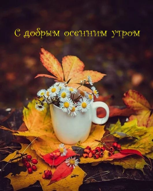 Хостинг картинок yapx.ru