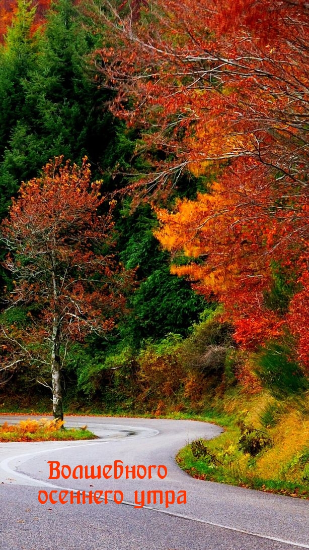 Хостинг картинок yapx.ru