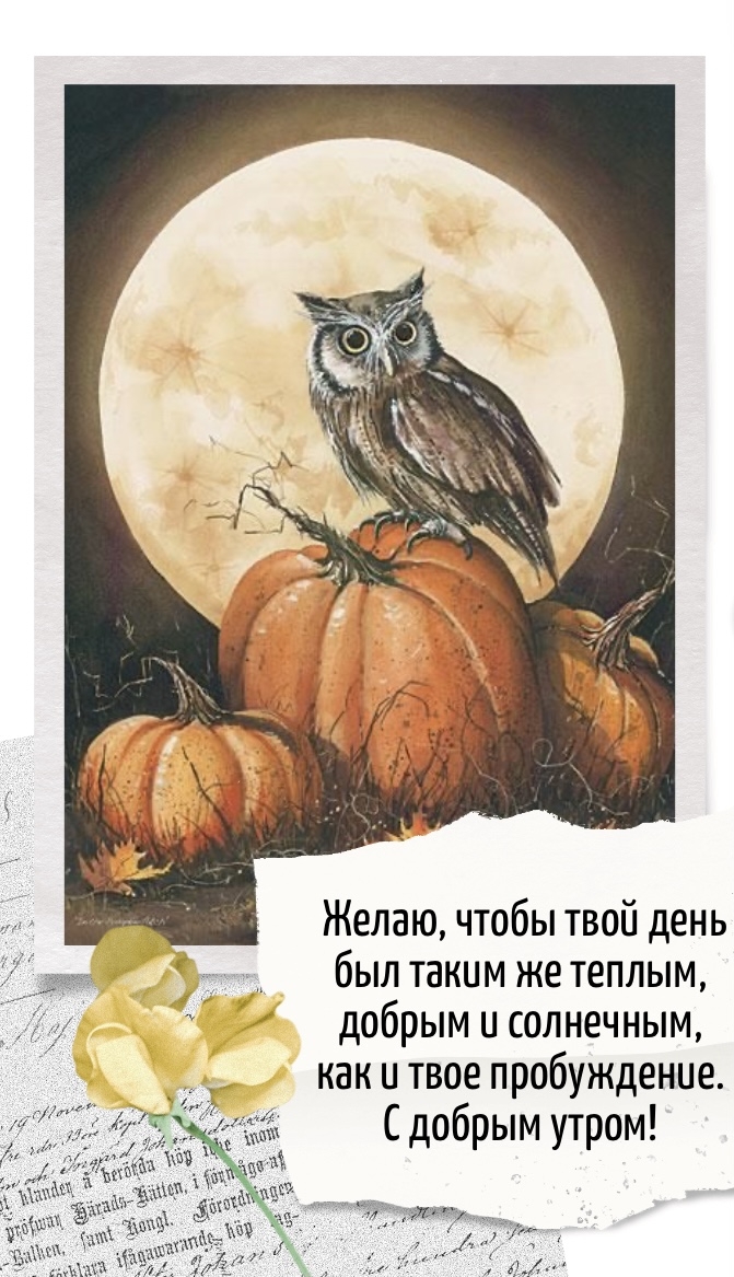 Хостинг картинок yapx.ru