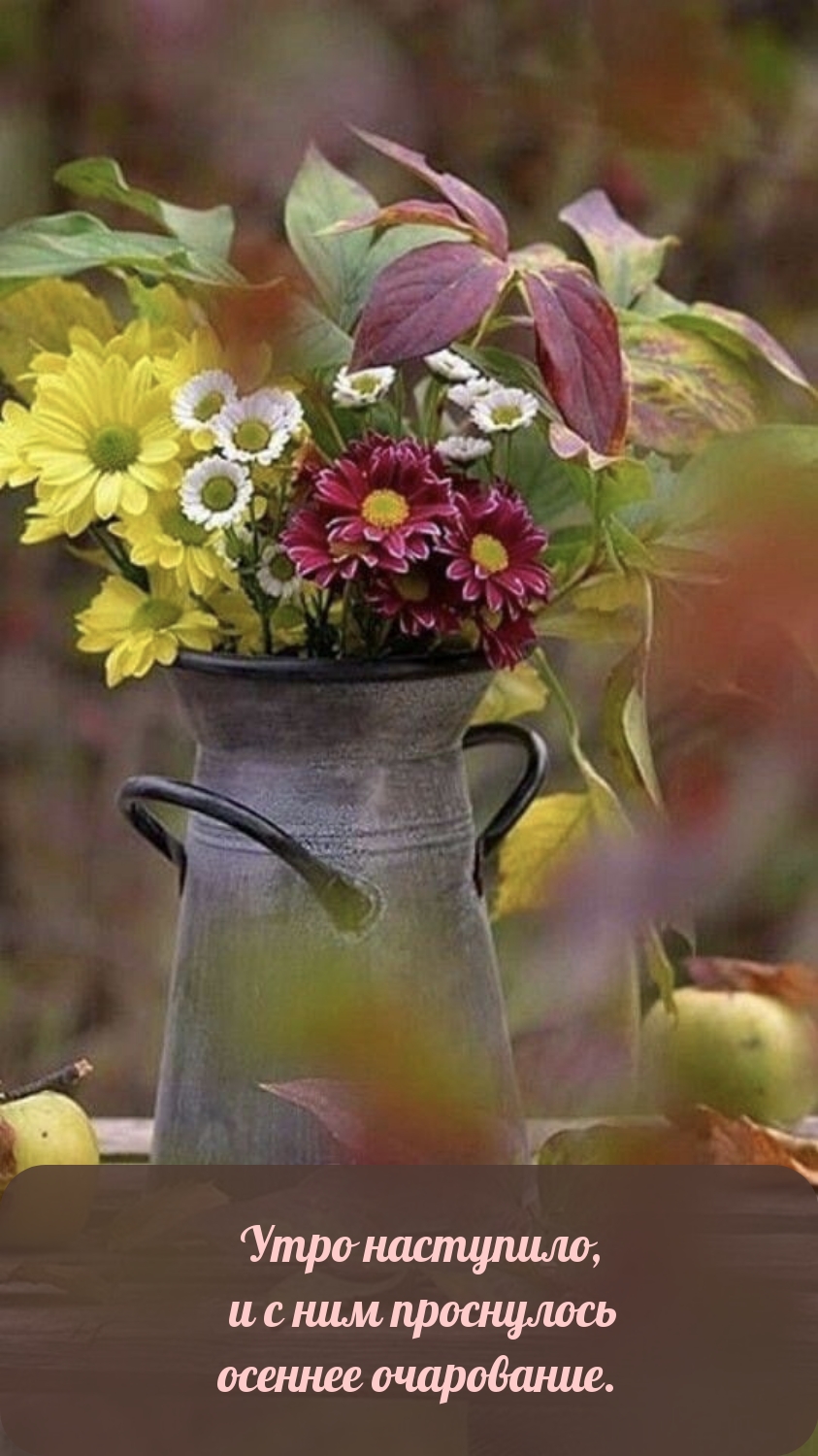 Хостинг картинок yapx.ru