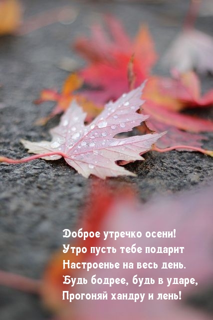 Хостинг картинок yapx.ru