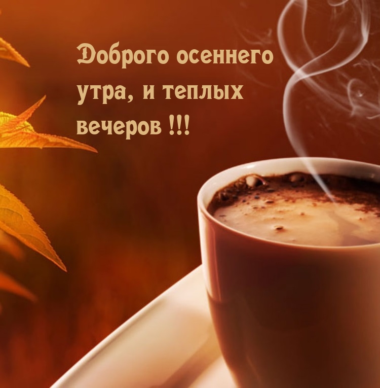 Хостинг картинок yapx.ru