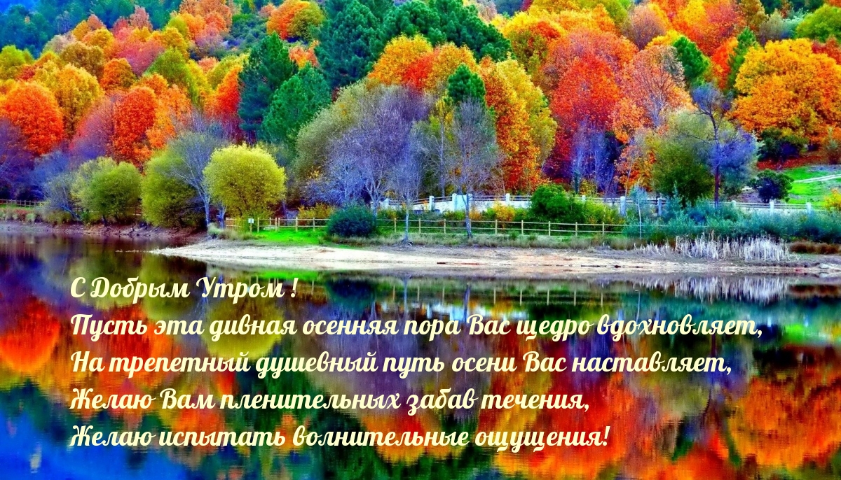 Хостинг картинок yapx.ru