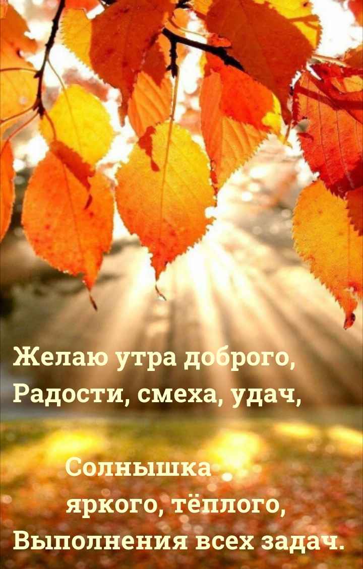 Хостинг картинок yapx.ru